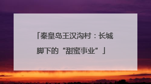 秦皇岛王汉沟村：长城脚下的“甜蜜事业”