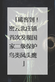 稀客到！密云北庄镇首次发现国家二级保护鸟类凤头鹰