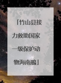 竹山县接力救助国家一级保护动物海南鳽