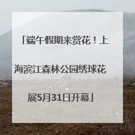 端午假期来赏花！上海滨江森林公园绣球花展5月31日开幕