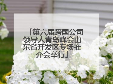第六届跨国公司领导人青岛峰会山东省开发区专场推介会举行