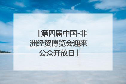 第四届中国-非洲经贸博览会迎来公众开放日