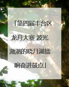 第四届丰台区龙舟大赛 波光潋滟的晓月湖擂响奋进鼓点