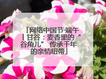 网络中国节·端午丨甘谷：麦香里的“谷角儿” 传承千年的亲情纽带