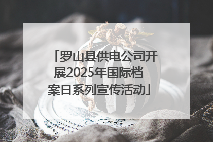 罗山县供电公司开展2025年国际档案日系列宣传活动