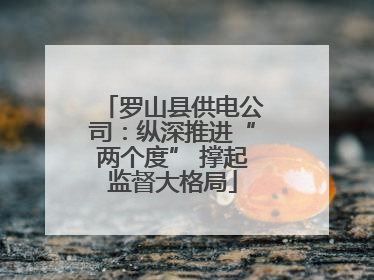 罗山县供电公司：纵深推进“两个度” 撑起监督大格局