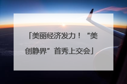 美丽经济发力！“美创静界”首秀上交会