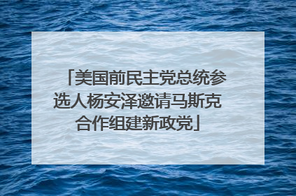 美国前民主党总统参选人杨安泽邀请马斯克合作组建新政党