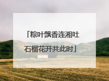 粽叶飘香连湘吐 石榴花开共此时