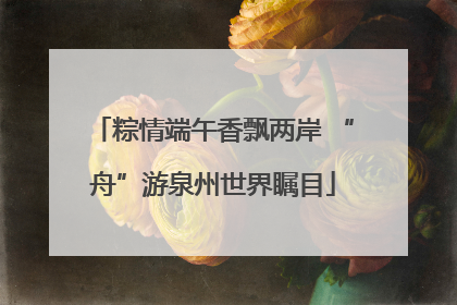 粽情端午香飘两岸 “舟”游泉州世界瞩目