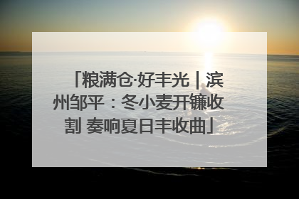 粮满仓·好丰光｜滨州邹平：冬小麦开镰收割 奏响夏日丰收曲