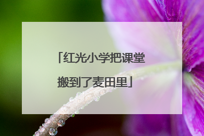 红光小学把课堂搬到了麦田里