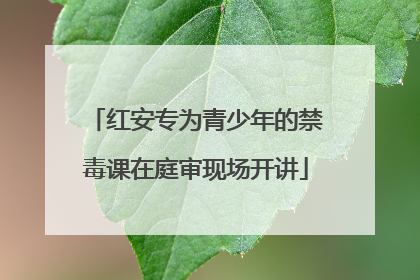 红安专为青少年的禁毒课在庭审现场开讲