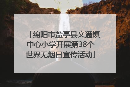 绵阳市盐亭县文通镇中心小学开展第38个世界无烟日宣传活动