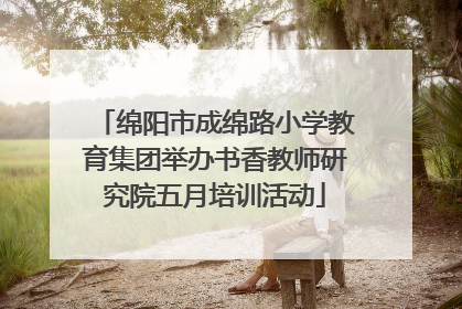 绵阳市成绵路小学教育集团举办书香教师研究院五月培训活动