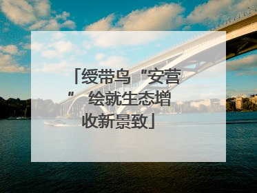 绶带鸟“安营” 绘就生态增收新景致