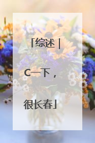 综述｜C一下，很长春