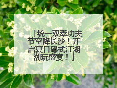 统一双萃功夫节空降长沙！开启夏日粤式江湖潮玩盛宴！