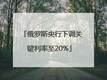 俄罗斯央行下调关键利率至20%
