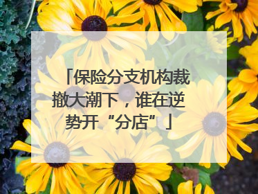 保险分支机构裁撤大潮下，谁在逆势开“分店”