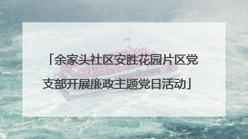 余家头社区安胜花园片区党支部开展廉政主题党日活动