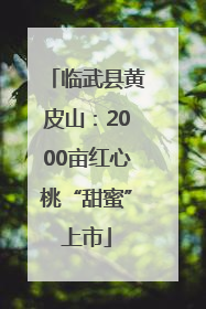临武县黄皮山：2000亩红心桃“甜蜜”上市