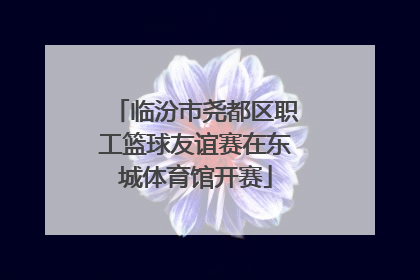 临汾市尧都区职工篮球友谊赛在东城体育馆开赛