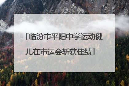临汾市平阳中学运动健儿在市运会斩获佳绩