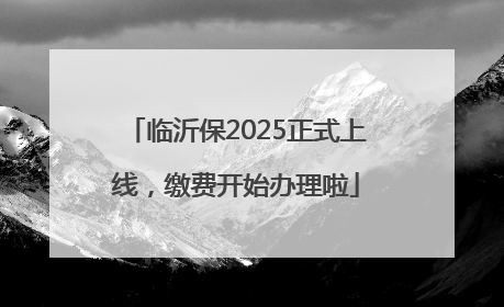 临沂保2025正式上线，缴费开始办理啦