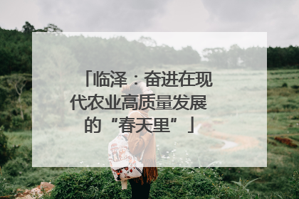 临泽：奋进在现代农业高质量发展的“春天里”