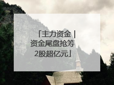 主力资金｜资金尾盘抢筹2股超亿元