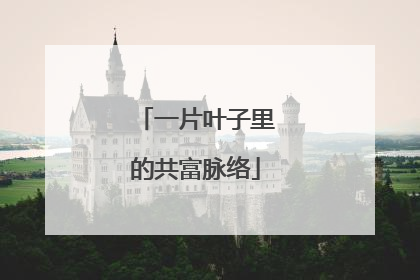 一片叶子里的共富脉络