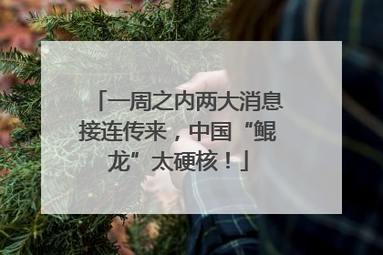 一周之内两大消息接连传来，中国“鲲龙”太硬核！