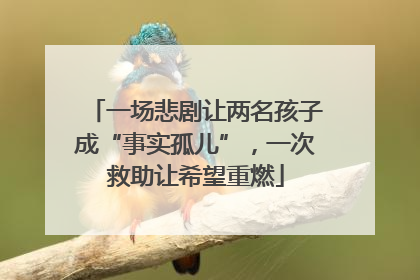 一场悲剧让两名孩子成“事实孤儿”，一次救助让希望重燃