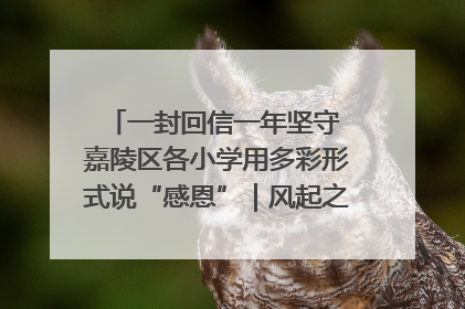 一封回信一年坚守 嘉陵区各小学用多彩形式说“感恩”｜风起之江 扶摇直上