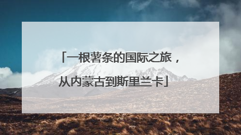 一根薯条的国际之旅，从内蒙古到斯里兰卡