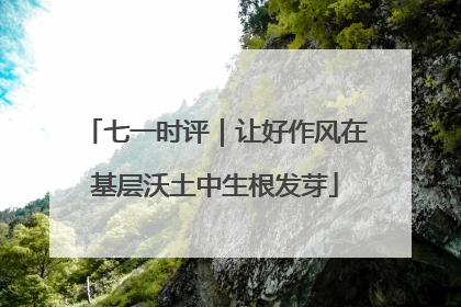 七一时评｜让好作风在基层沃土中生根发芽