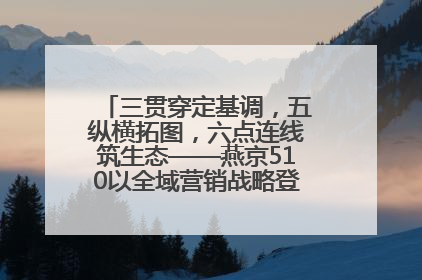 三贯穿定基调，五纵横拓图，六点连线筑生态——燕京510以全域营销战略登顶行业IP新高度
