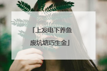 上发电下养鱼 废坑塘巧生金