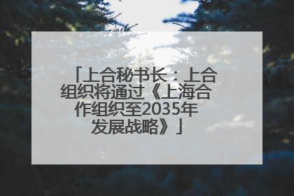上合秘书长：上合组织将通过《上海合作组织至2035年发展战略》