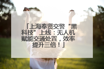 上海奉贤交警“黑科技”上线：无人机赋能交通处置，效率提升三倍！