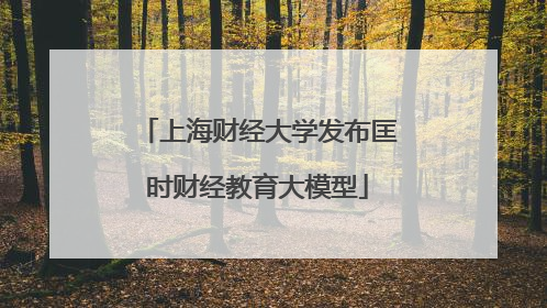 上海财经大学发布匡时财经教育大模型