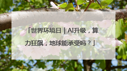 世界环境日｜AI升级，算力狂飙，地球能承受吗？