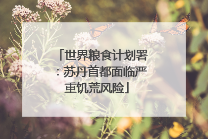 世界粮食计划署：苏丹首都面临严重饥荒风险