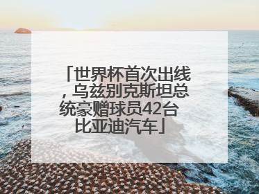世界杯首次出线，乌兹别克斯坦总统豪赠球员42台比亚迪汽车