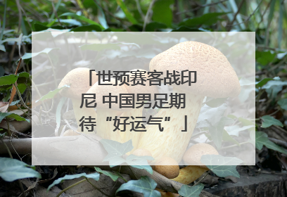 世预赛客战印尼 中国男足期待“好运气”