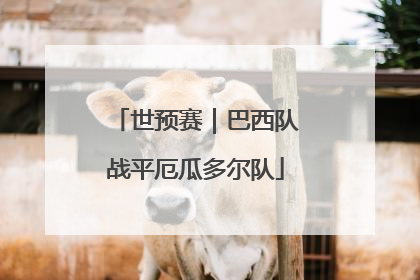 世预赛｜巴西队战平厄瓜多尔队