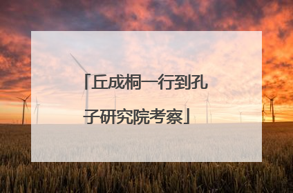 丘成桐一行到孔子研究院考察
