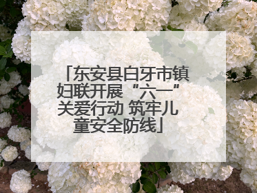 东安县白牙市镇妇联开展“六一”关爱行动 筑牢儿童安全防线