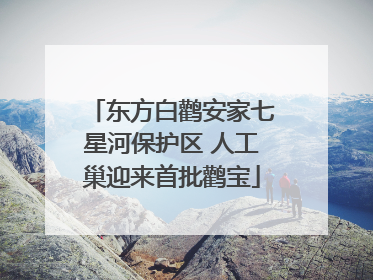 东方白鹳安家七星河保护区 人工巢迎来首批鹳宝